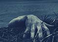What Movie Monsters can Teach Us About Human Nature | LiveReal.com